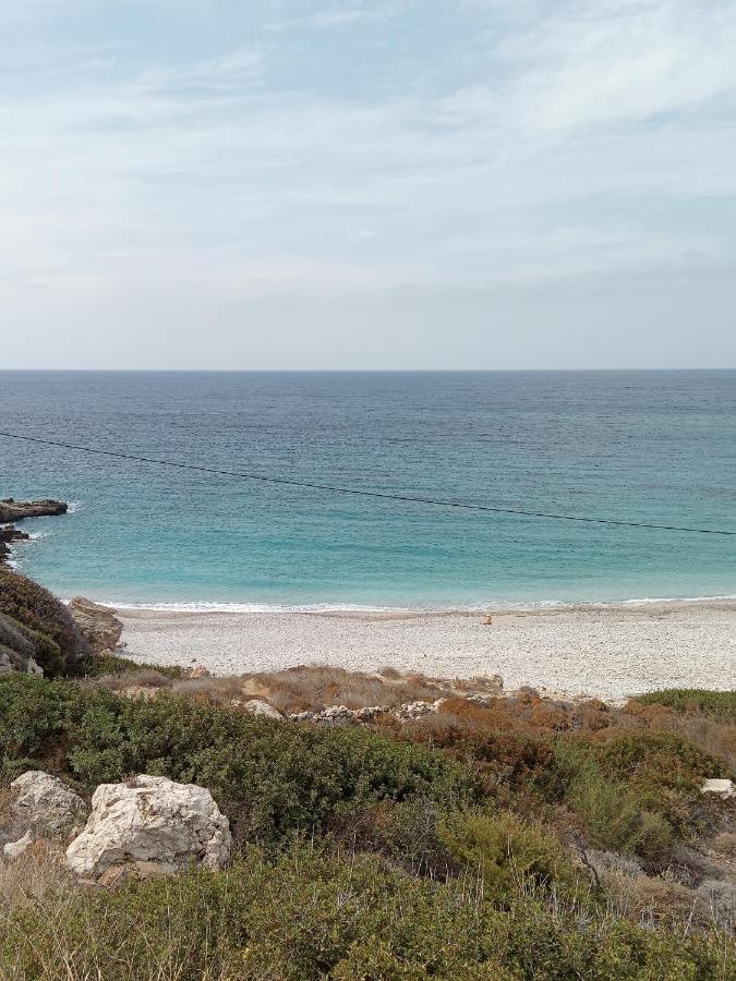 Albatros Studios & Apartments Lefkos  外观 照片