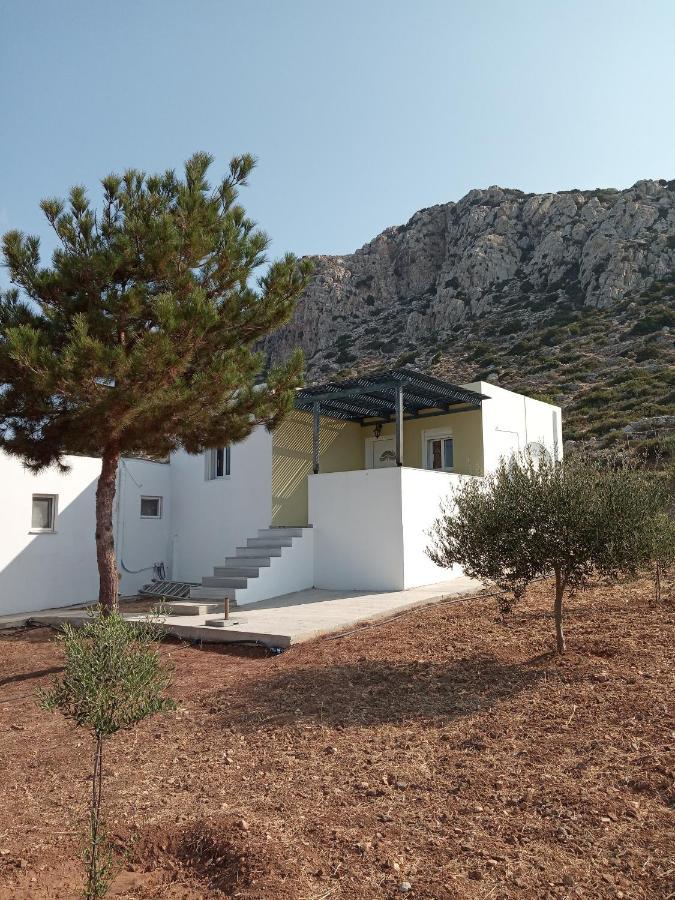 Albatros Studios & Apartments Lefkos  外观 照片